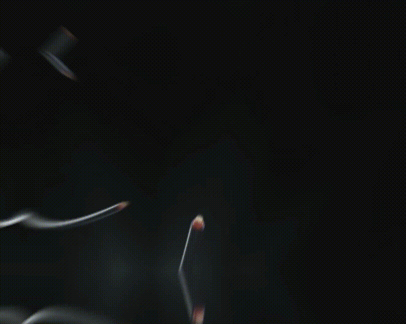 并网1-3 (7).gif