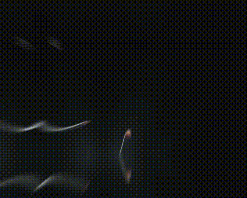 --自研3-6低压 (10).gif